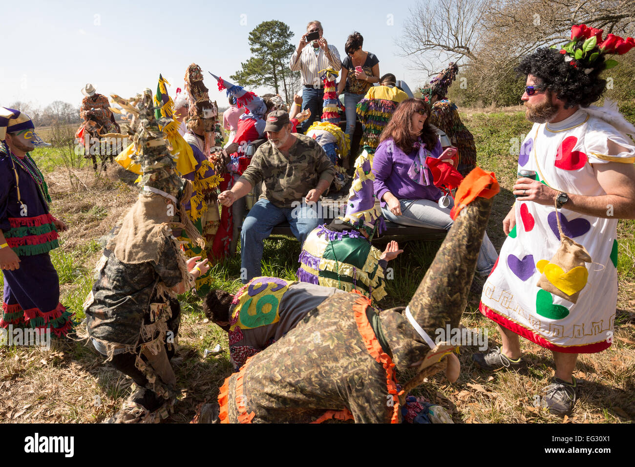 cajun mardi gras mask