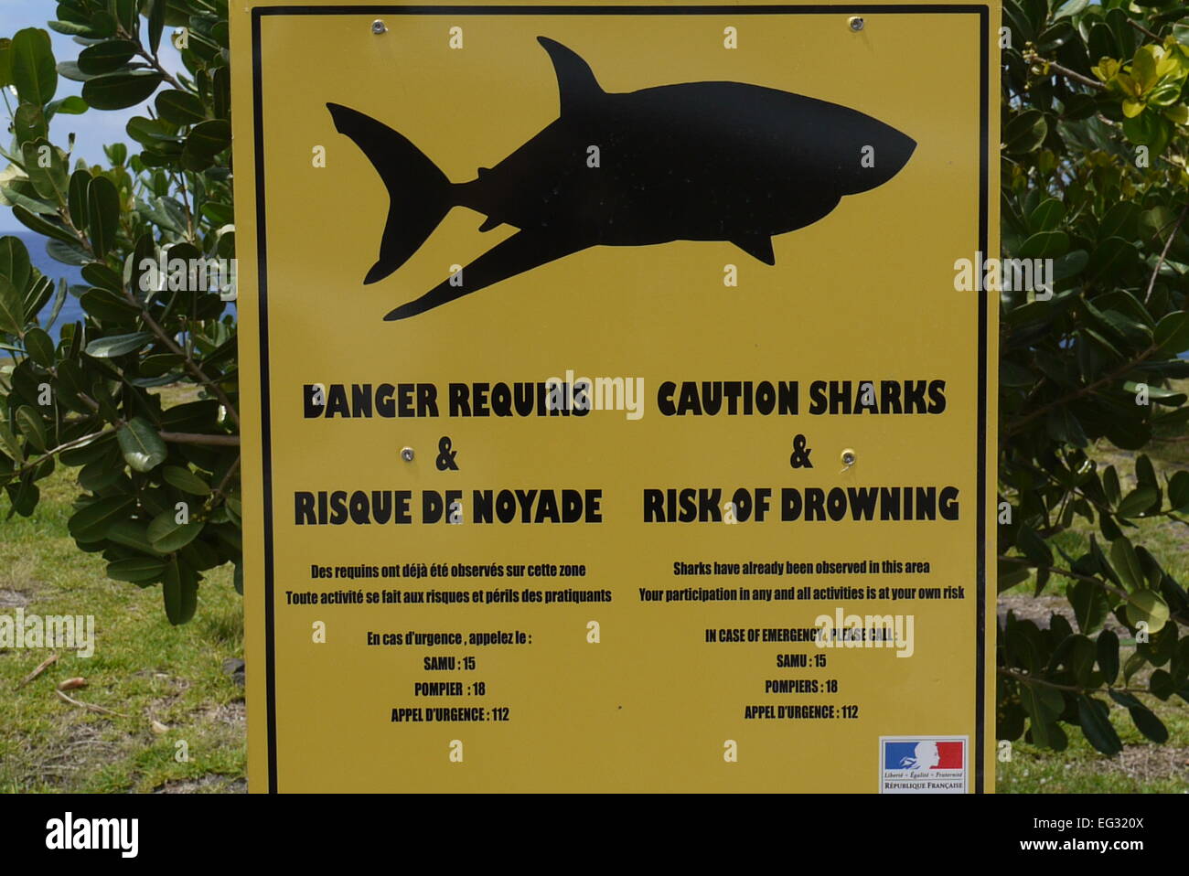 Warning shark sign Stock Photo Alamy