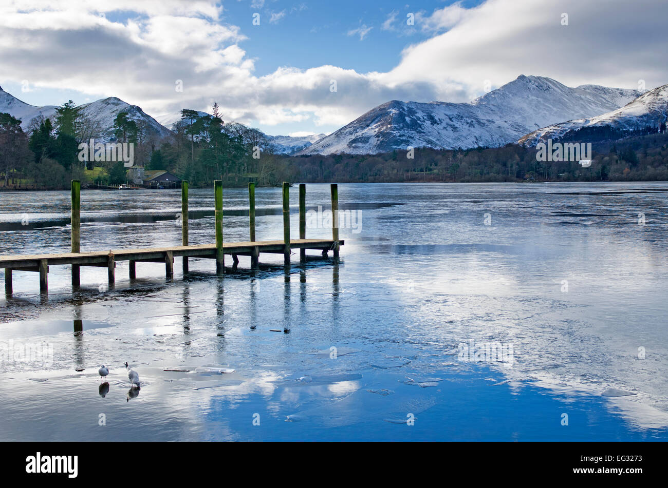 Derwentwater, Keswick, winter, two birds on partly frozen lake by wooden jetty, snow covered fells behind, Lake District Cumbria Stock Photo