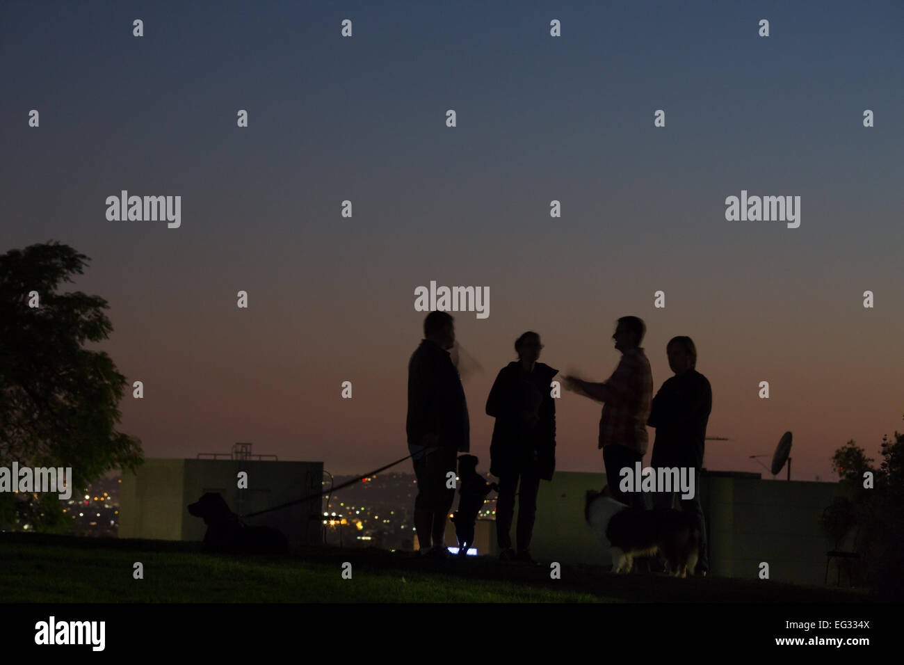 Neighbors walk their dogs on Olive Hill in Hollywood, Los Angeles, CA at sunset. Stock Photo