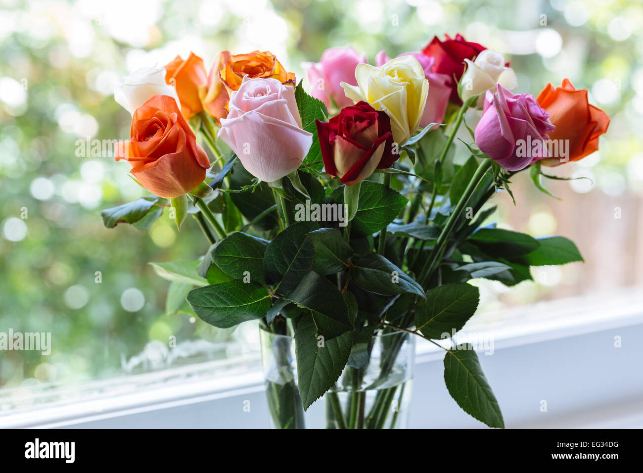Bouquet of mixed colourful roses sitting on window sill Stock Photo - Alamy