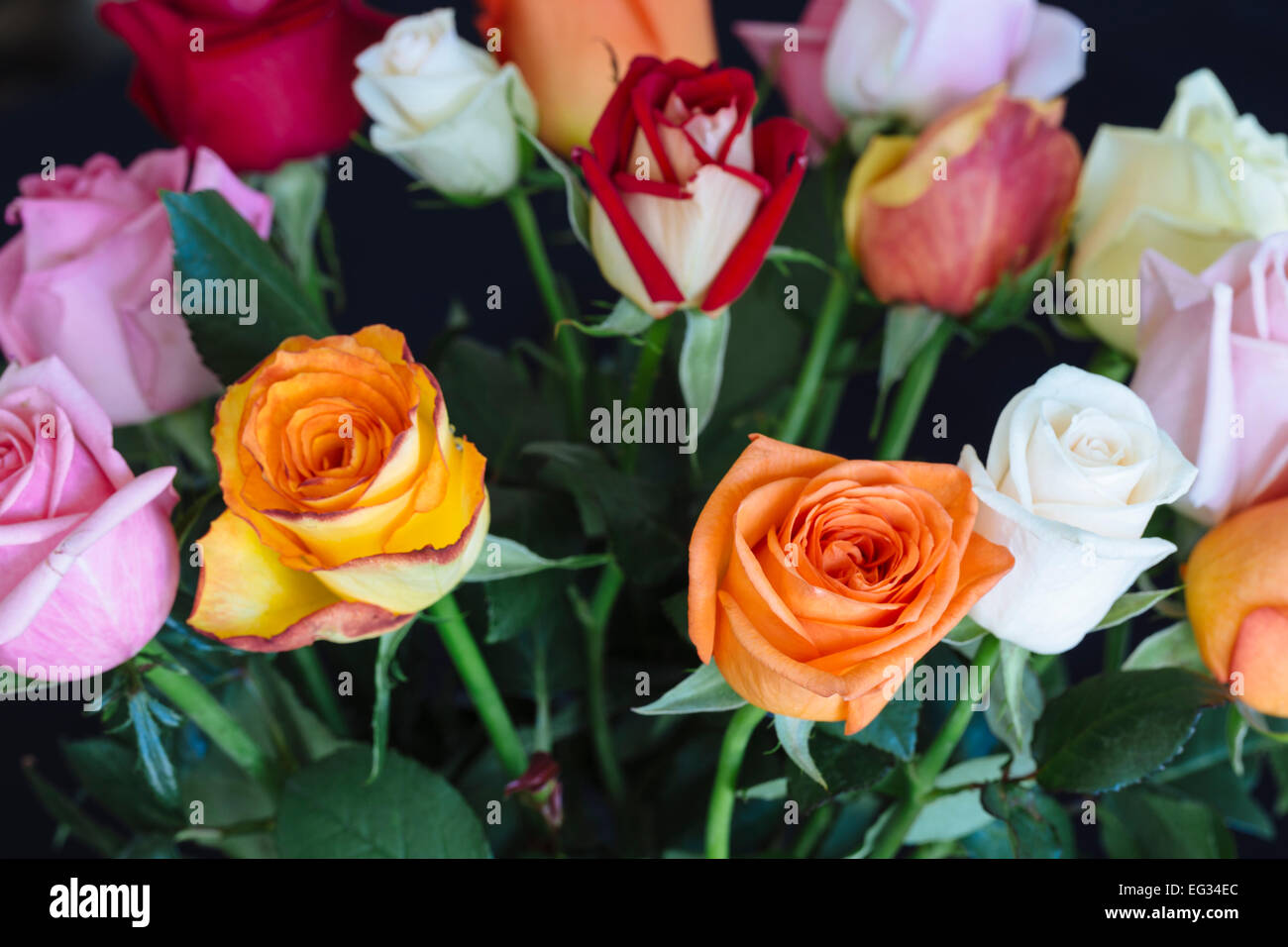 Bunch of colourful roses against dark surface Stock Photo - Alamy