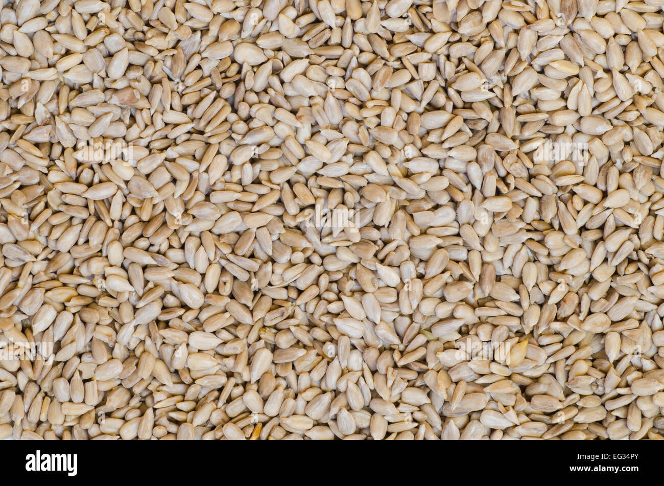 closeup of sunflower seeds background Stock Photo