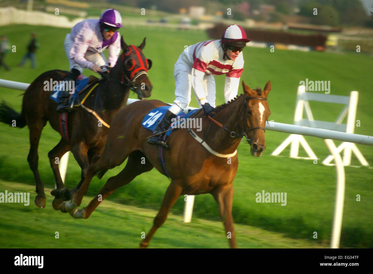 Horse racing at Catterick racecourse Stock Photo