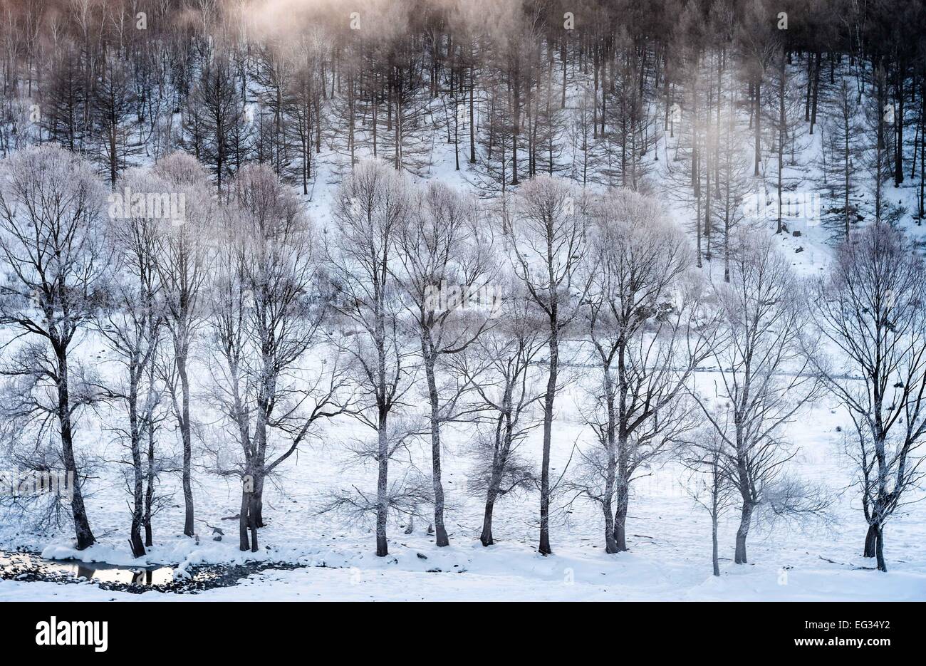 Arxan, China's Inner Mongolia Autonomous Region. 9th Feb, 2015. Morning mist rises from the Halha River in Arxan, north China's Inner Mongolia Autonomous Region, Feb. 9, 2015. Despite of the severe cold in winter, the 20-kilometer-section of the Halha River in Arxan is never frozen due to geothermal sources nearby. © Yang Lei/Xinhua/Alamy Live News Stock Photo