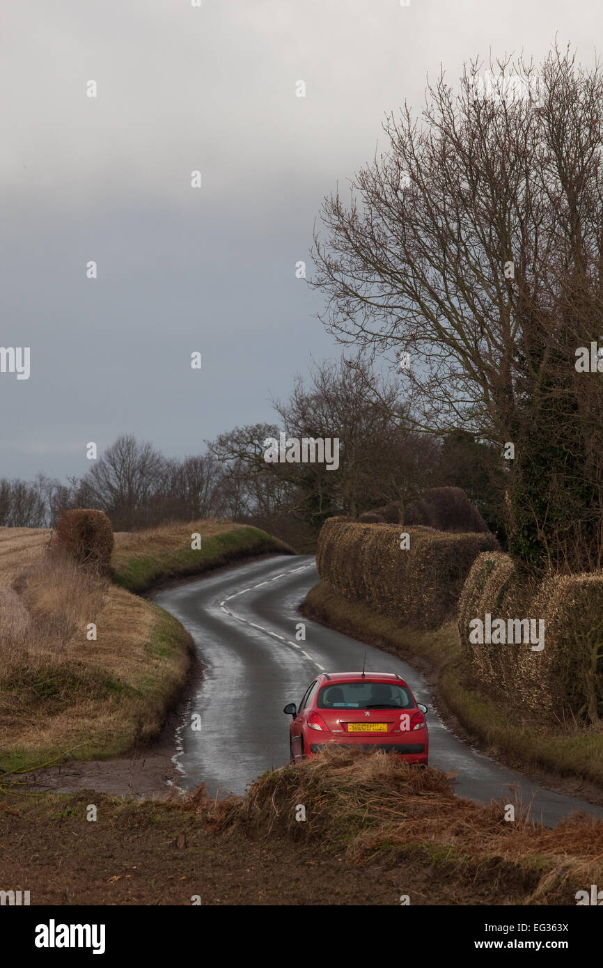 Rural winding road. Winter weather, early evening light. Norfolk. England. Stock Photo