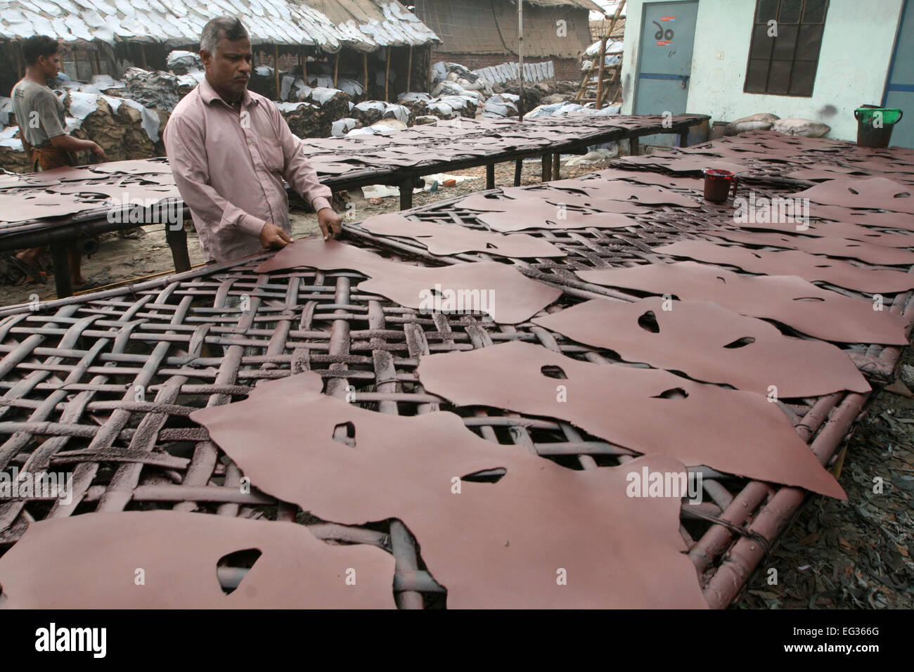Drying leather under sun. The processed leather will be used to make wallets and shoes, in Dhaka