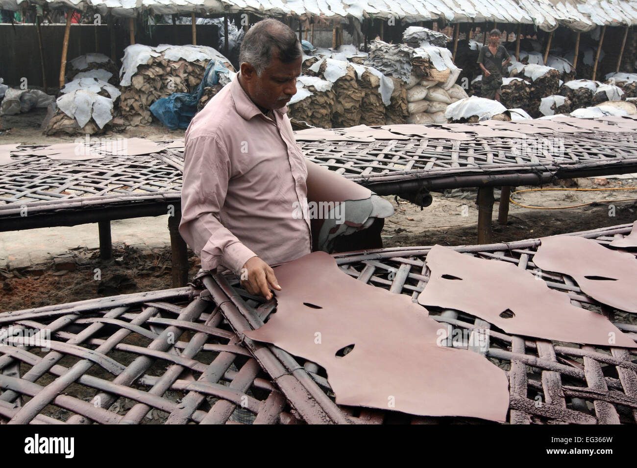 Drying leather under sun. The processed leather will be used to make wallets and shoes, in Dhaka