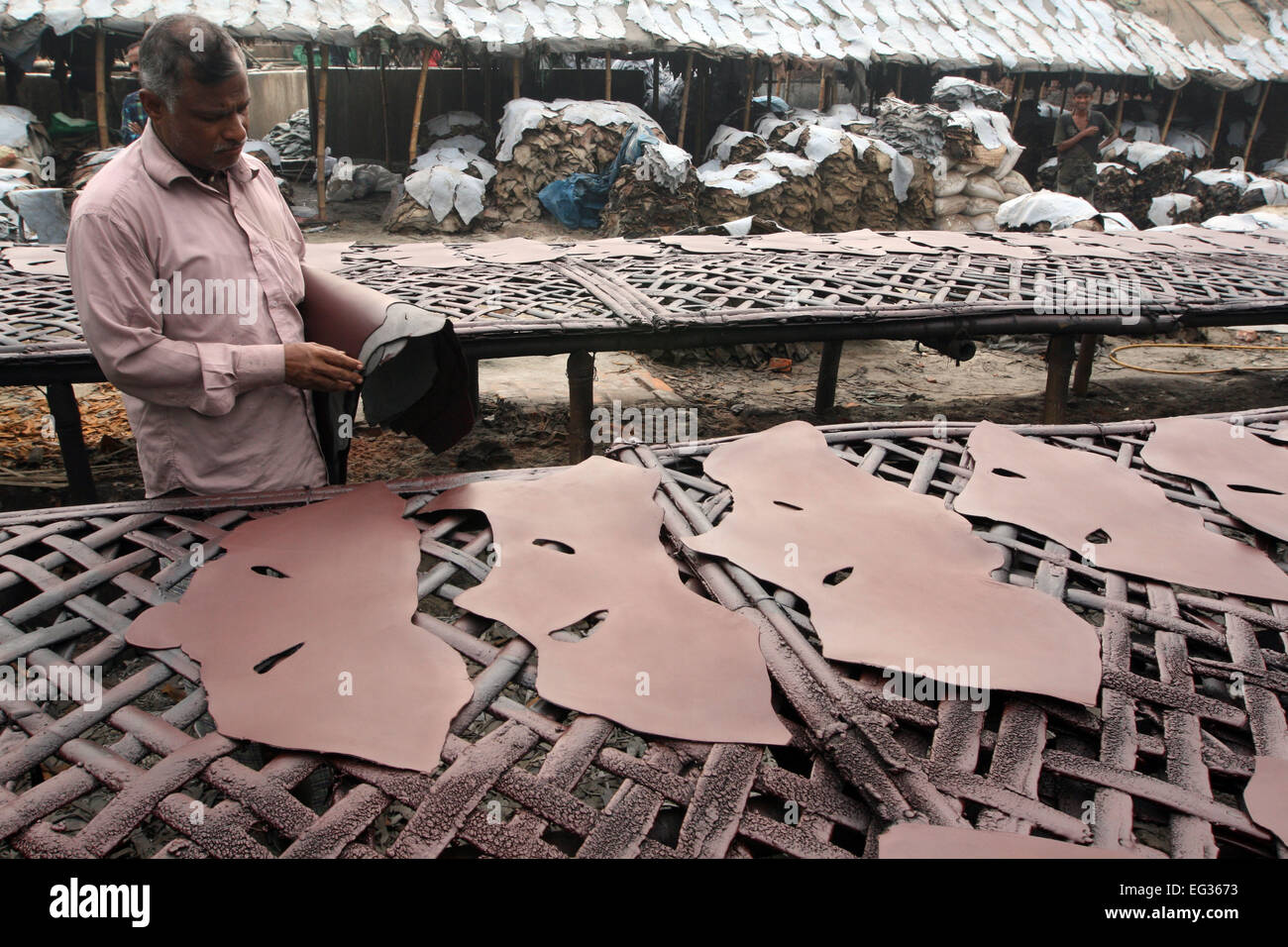 Drying leather under sun. The processed leather will be used to make wallets and shoes, in Dhaka