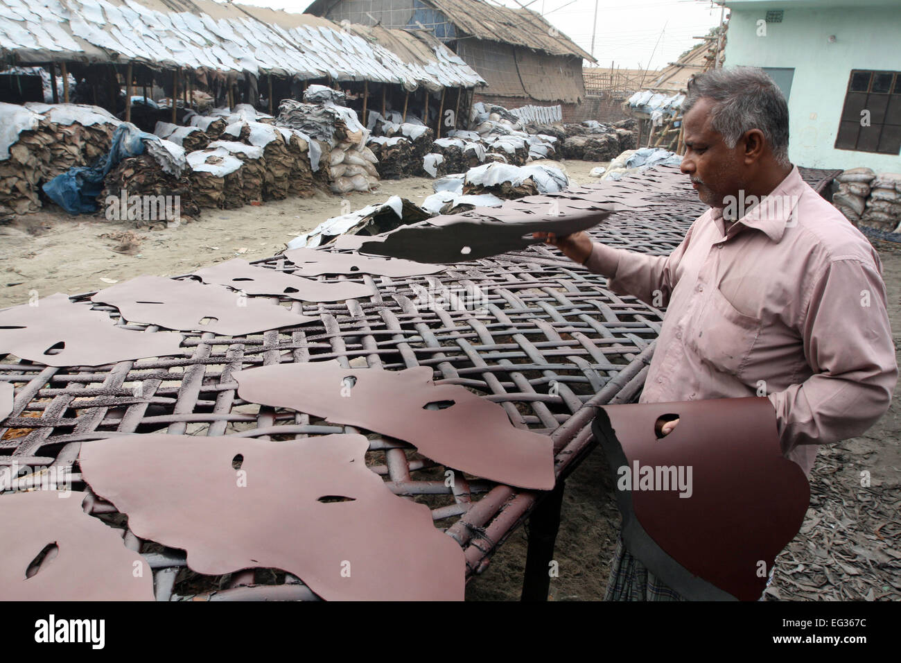 Drying leather under sun. The processed leather will be used to make wallets and shoes, in Dhaka