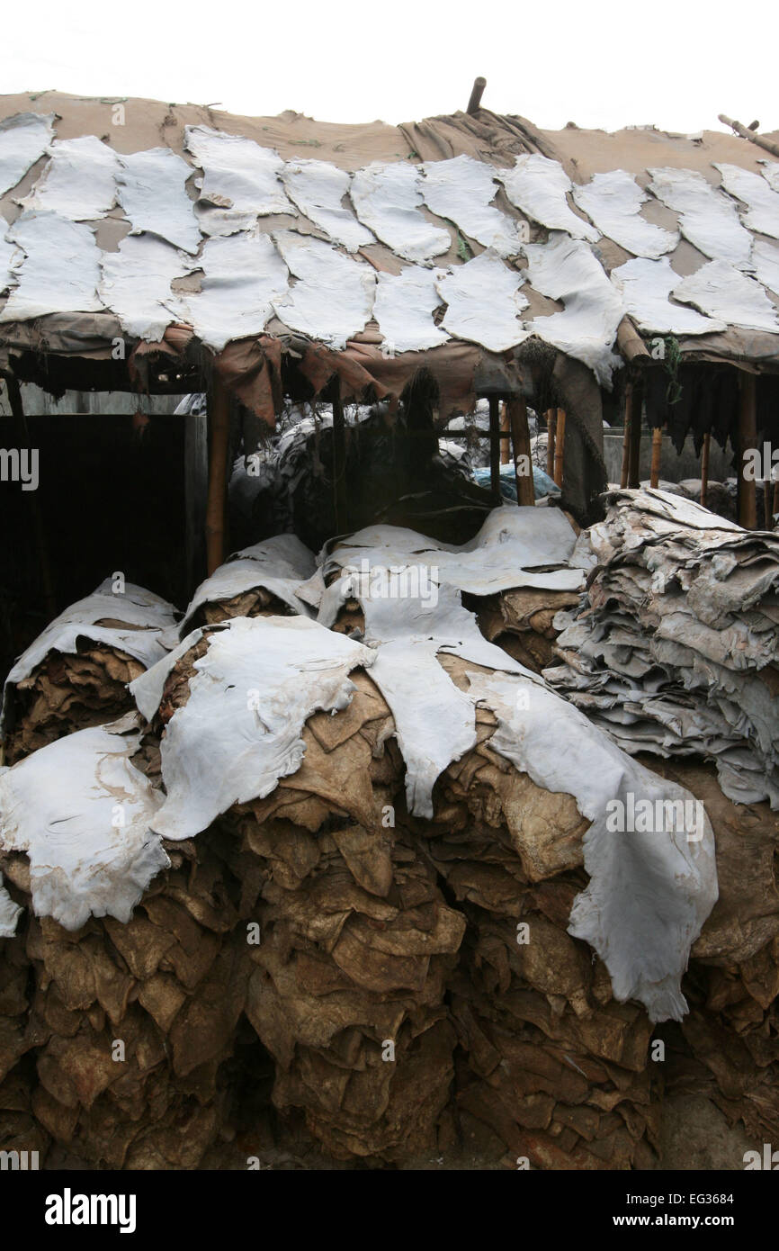 Drying leather under sun. The processed leather will be used to make wallets and shoes, in Dhaka