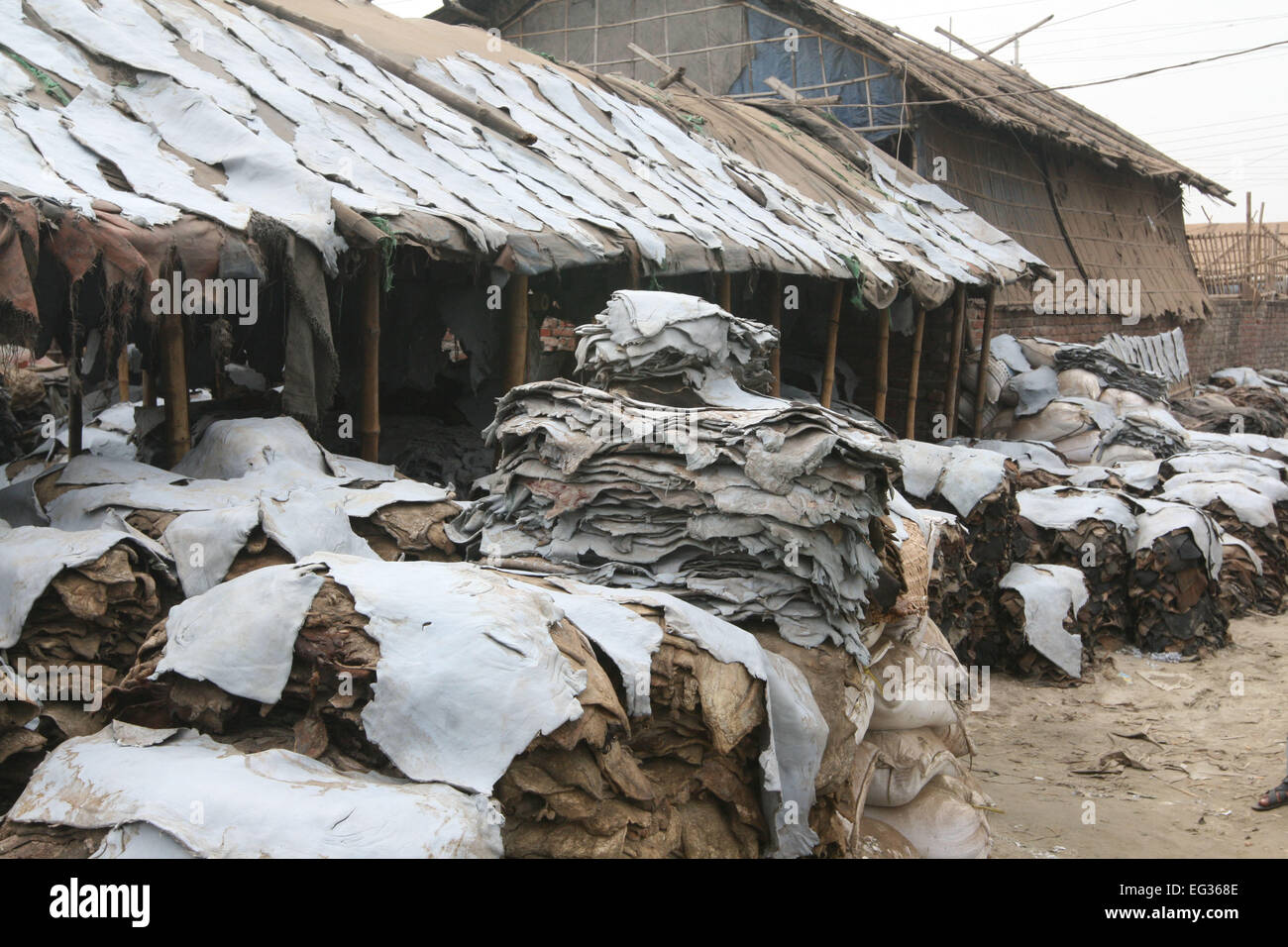 Drying leather under sun. The processed leather will be used to make wallets and shoes, in Dhaka