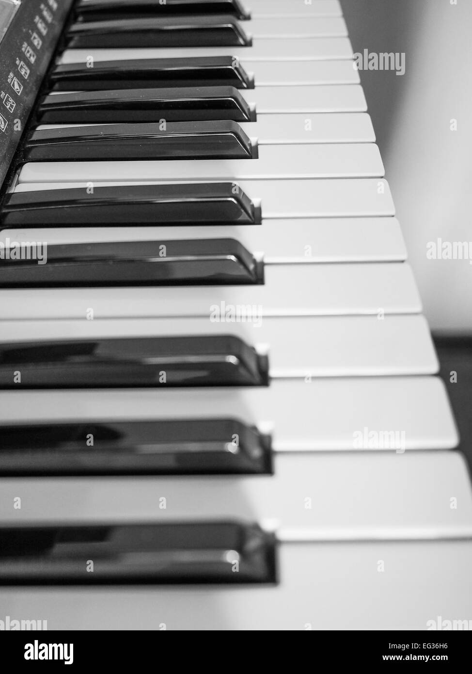Detail of black and white keys on music keyboard Stock Photo Alamy