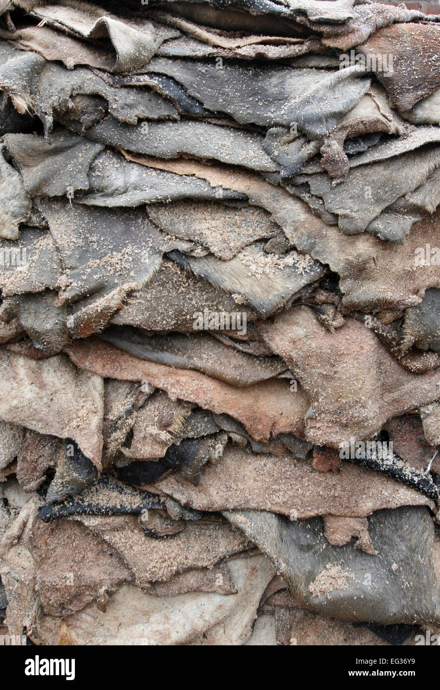 Drying leather under sun. The processed leather will be used to make wallets and shoes, in Dhaka