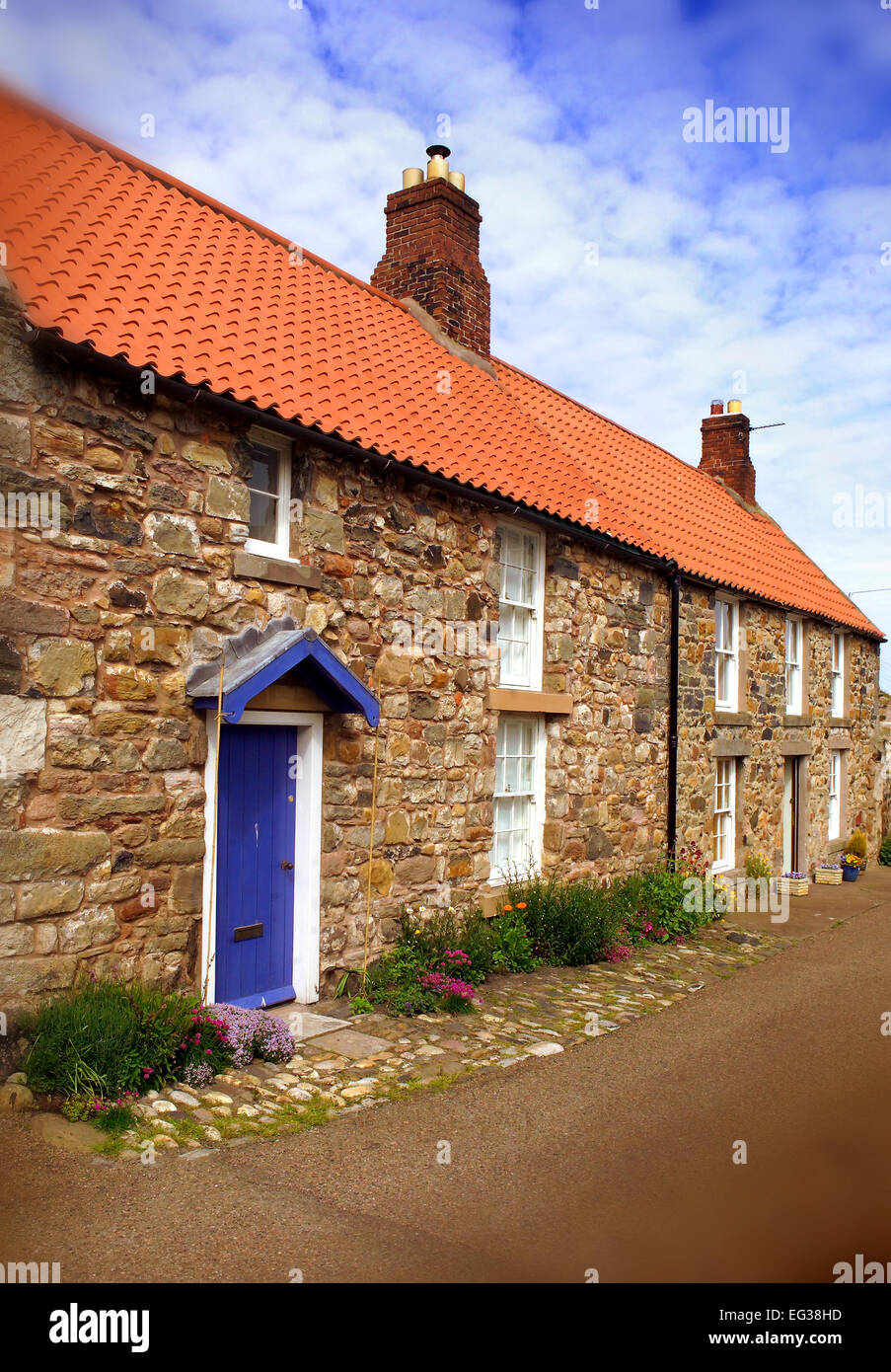 Cottages on Holy Island Stock Photo Alamy