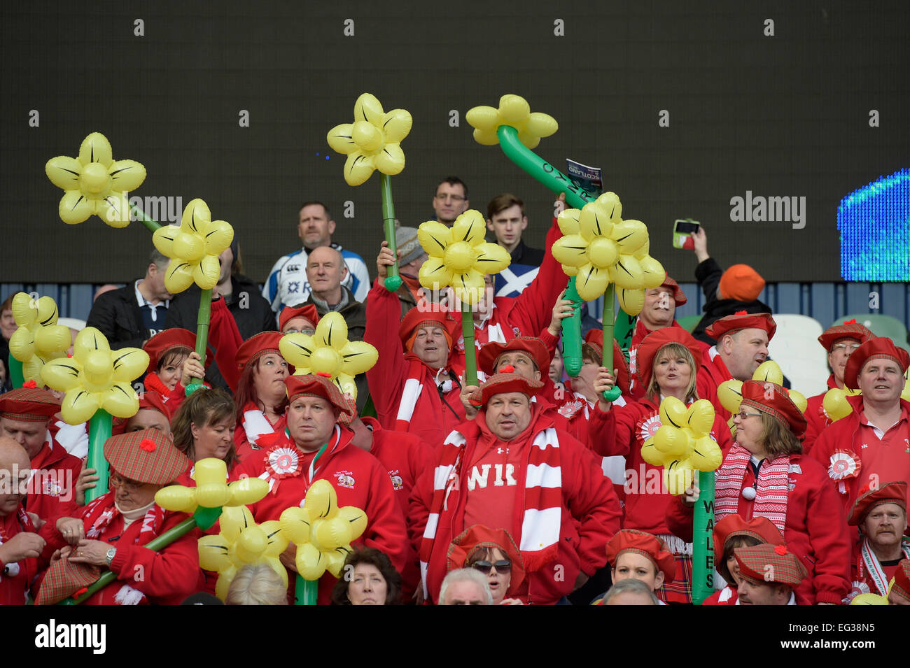 Murrayfield Stadium, Edinburgh, UK. 15th Feb, 2015. RBS 6 Nations 2015 Round 2, Scotland vs Wales Welsh support in the stands at Murrayfield, pre match Credit:  Rob Gray/Alamy Live News Stock Photo