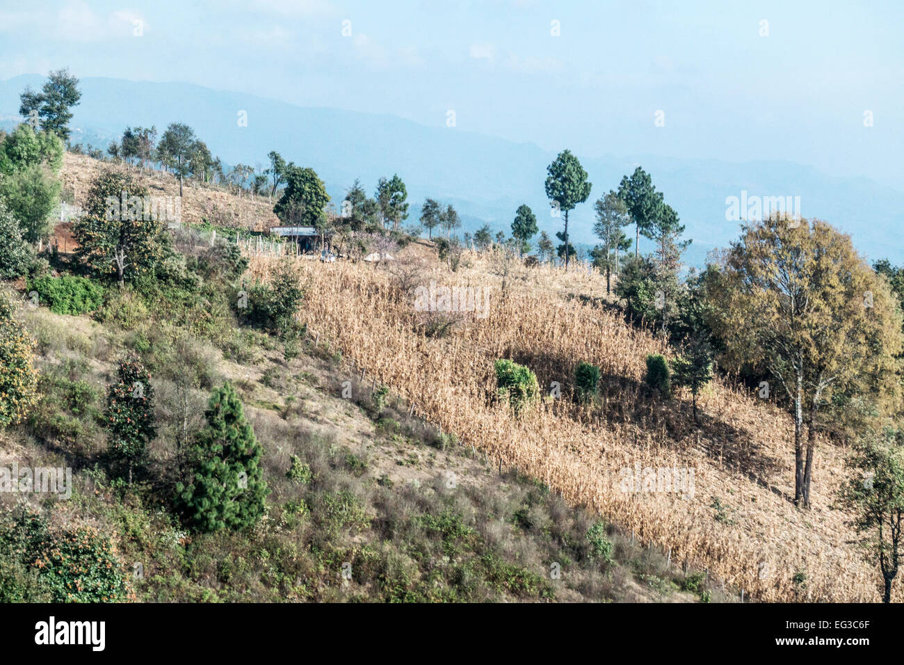 high altitude mountainous rural countryside near San Cristobal de las Casas Chiapas with subsistence farming on steep hillside Stock Photo