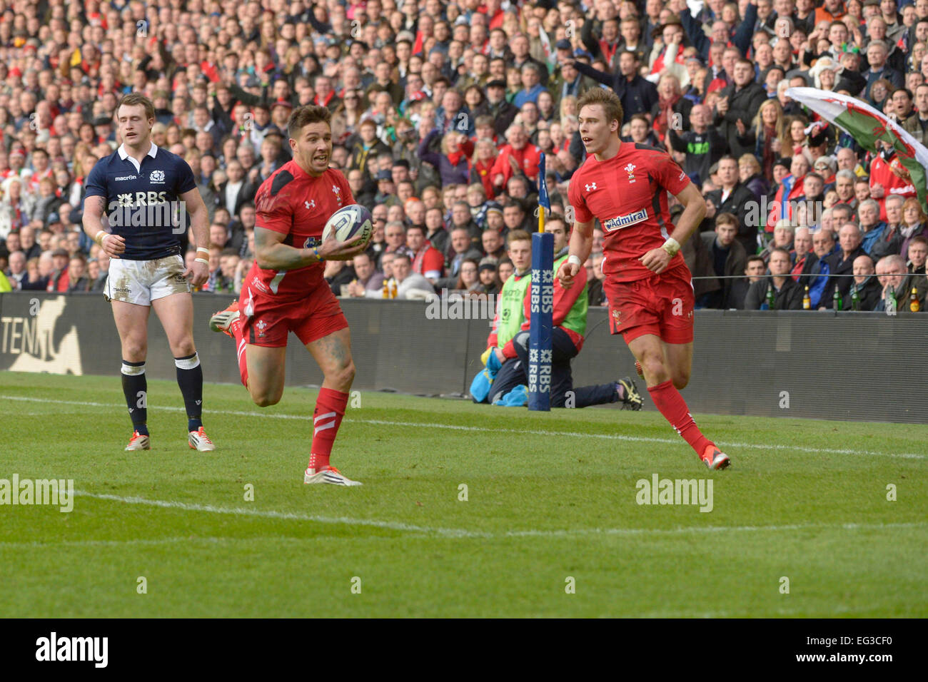 Edinburgh, UK. 15th Feb, 2015. RBS 6 Nations 2015 Round 2, Scotland vs Wales  Rhys Webb ( Wales ) heading for the tryline in the first half try (Photo: Ali Graham ) Credit:  Rob Gray/Alamy Live News Stock Photo
