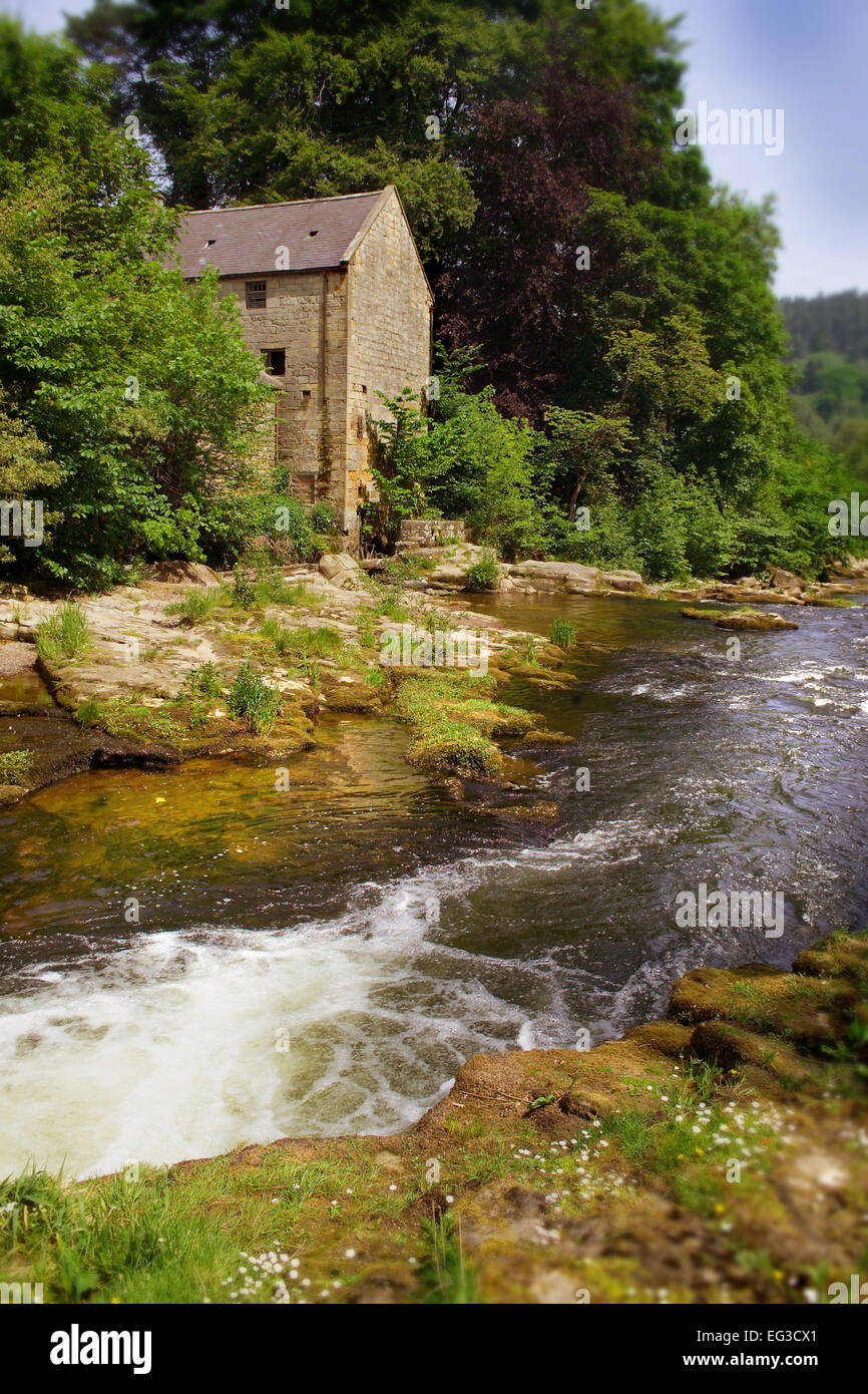 Thrum Mill, River Coquet near Rothbury Stock Photo