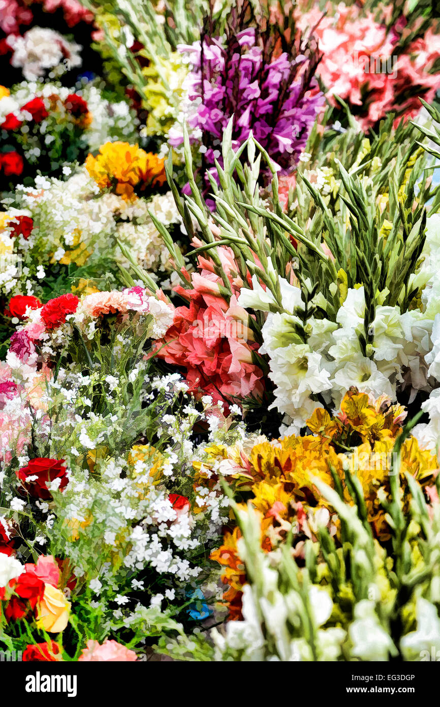 Fresh cut flowers, Pisac Sunday Market, Cusco, Peru Stock Photo