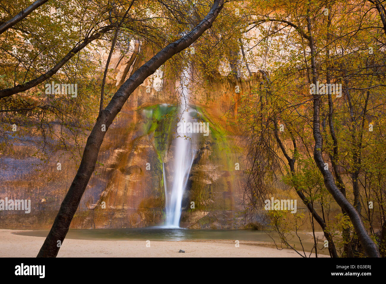 Fall in the Escalante National Monument at Calf Creek Falls in Utah. USA Stock Photo