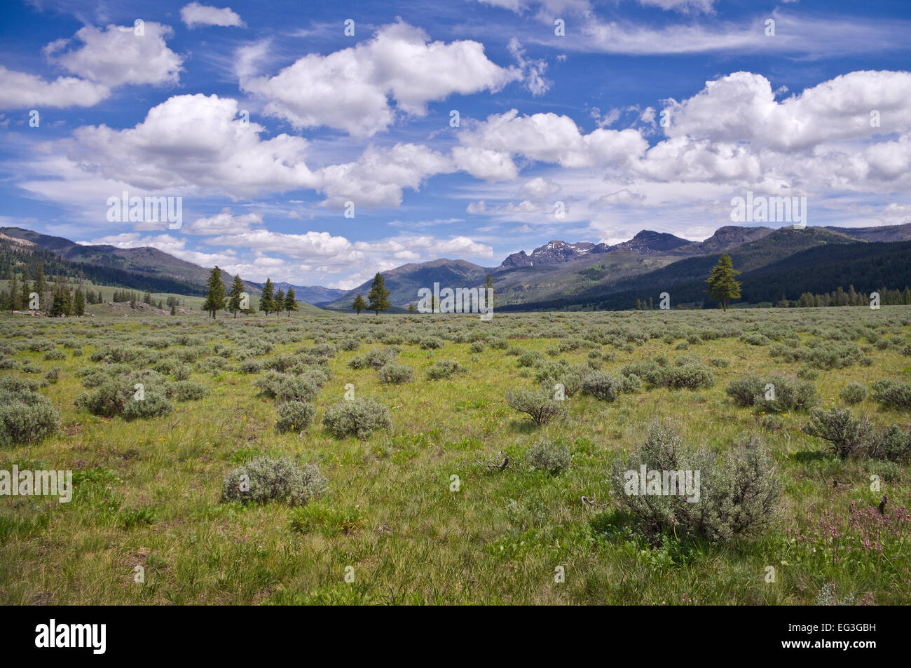 slough creek trail yellowstone