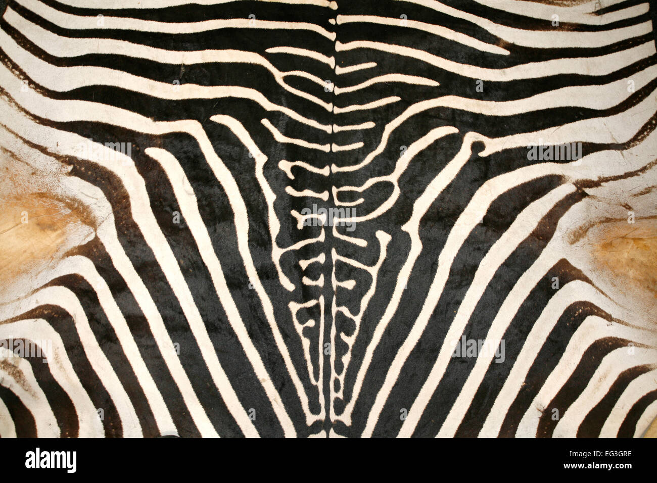 Black and white texture pattern of an original zebra skin Stock Photo ...