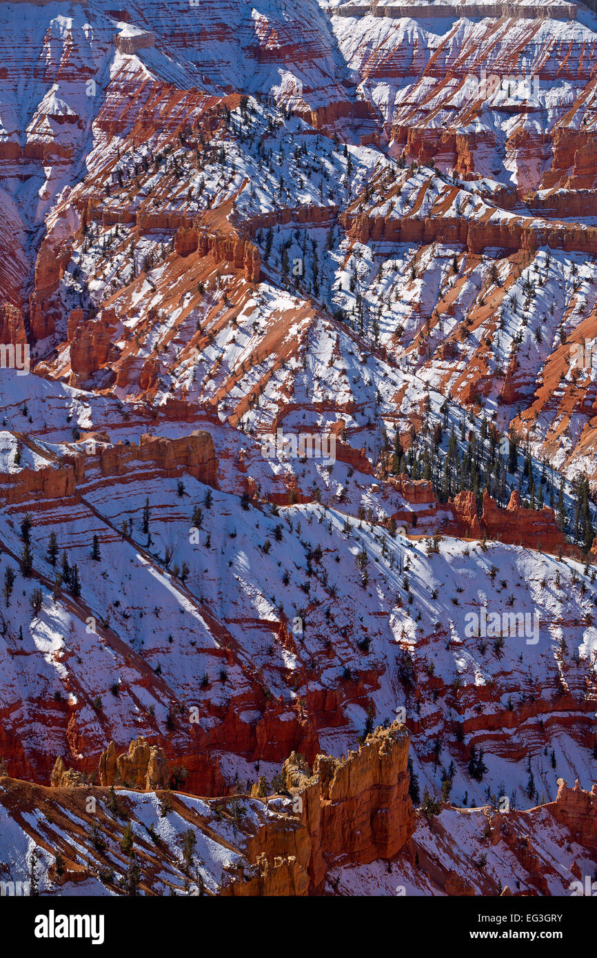 Snow covers Cedar Breaks National Monument in Utah in fall. USA Stock Photo