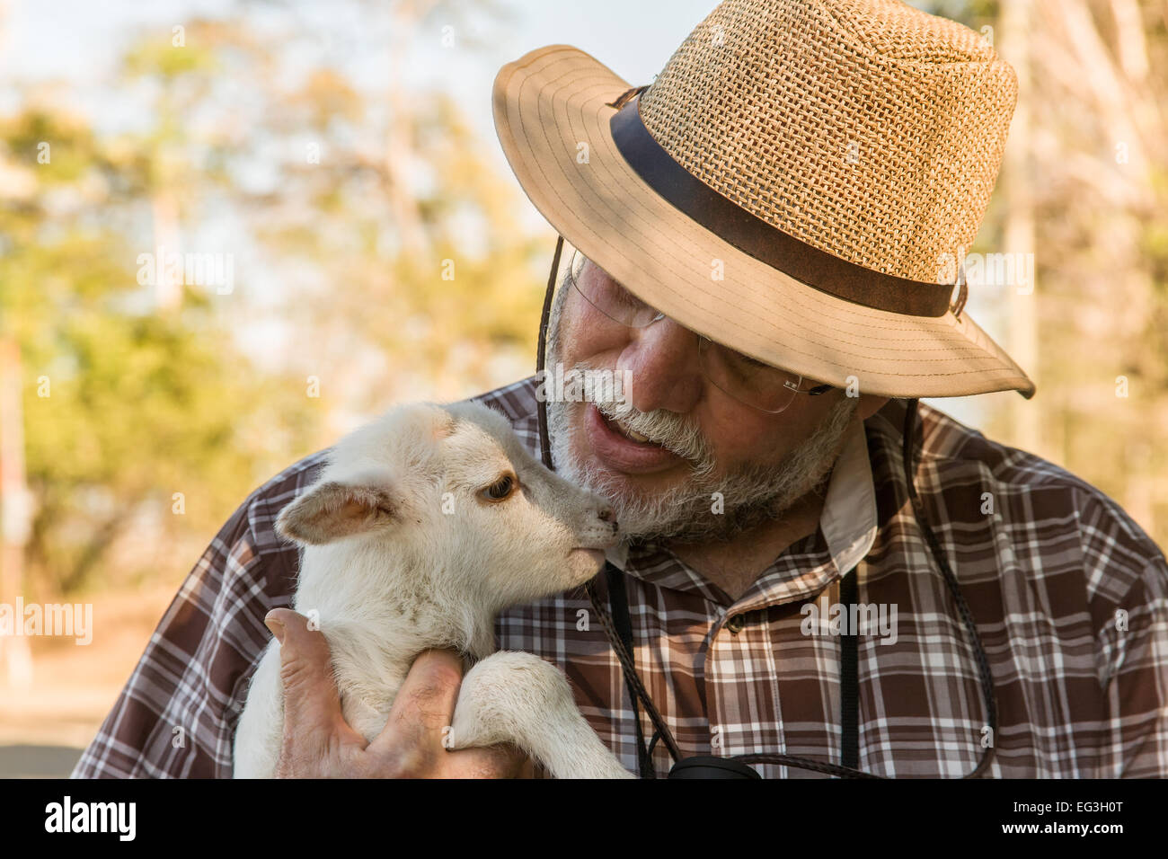 Man holding and talking softly to a lamb at a farm in Palo Verde National Park, Costa Rica Stock Photo