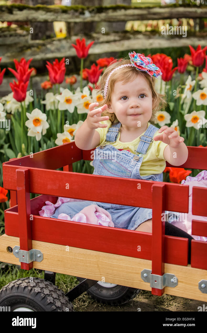 Toddler girl requesting her bottle of water by reaching, in a wagon in a tulip garden in Mount Vernon, Washington, USA Stock Photo