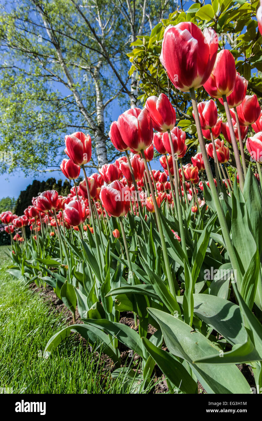 The delightful mount hires stock photography and images Alamy