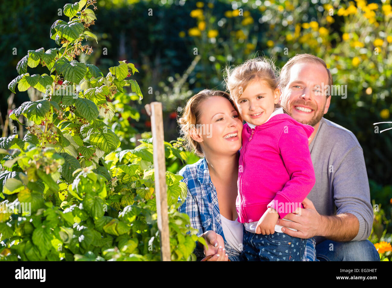 Mother, father and daughter in garden with basket Stock Photo