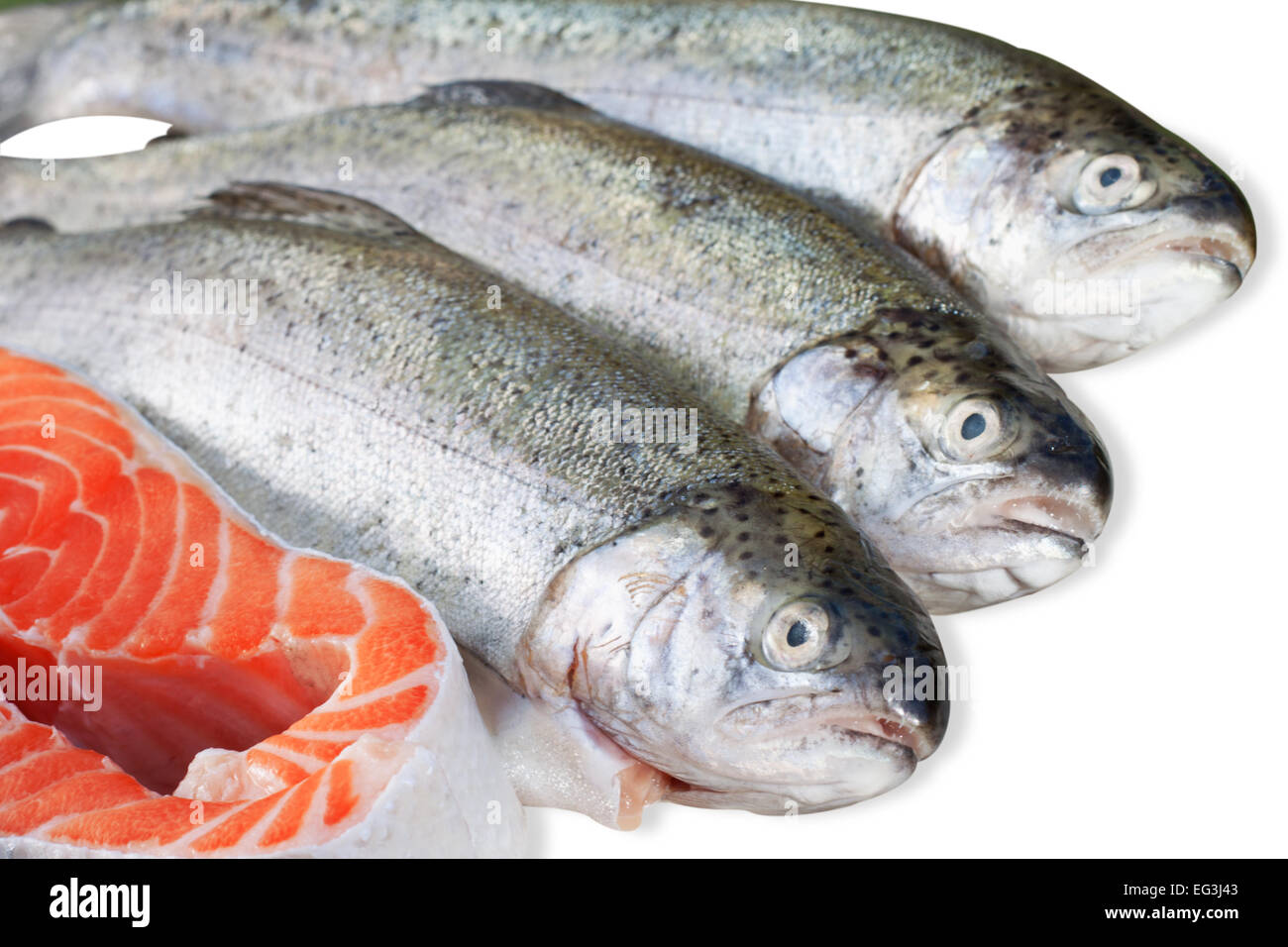 fresh trout and salmon slice on white background Stock Photo Alamy