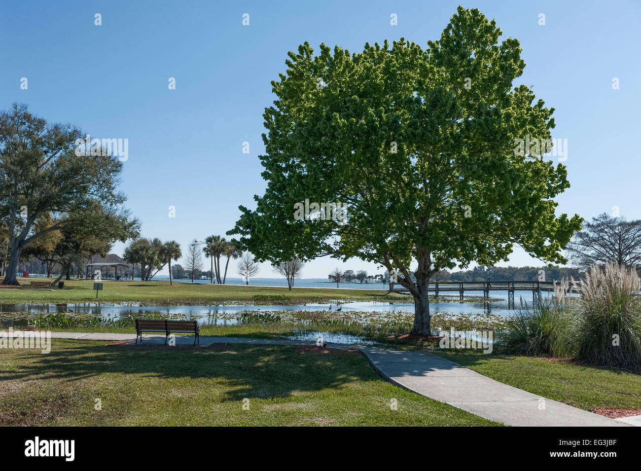 Florida Venetian Gardens Park In Leesburg Florida Usa Stock Photo