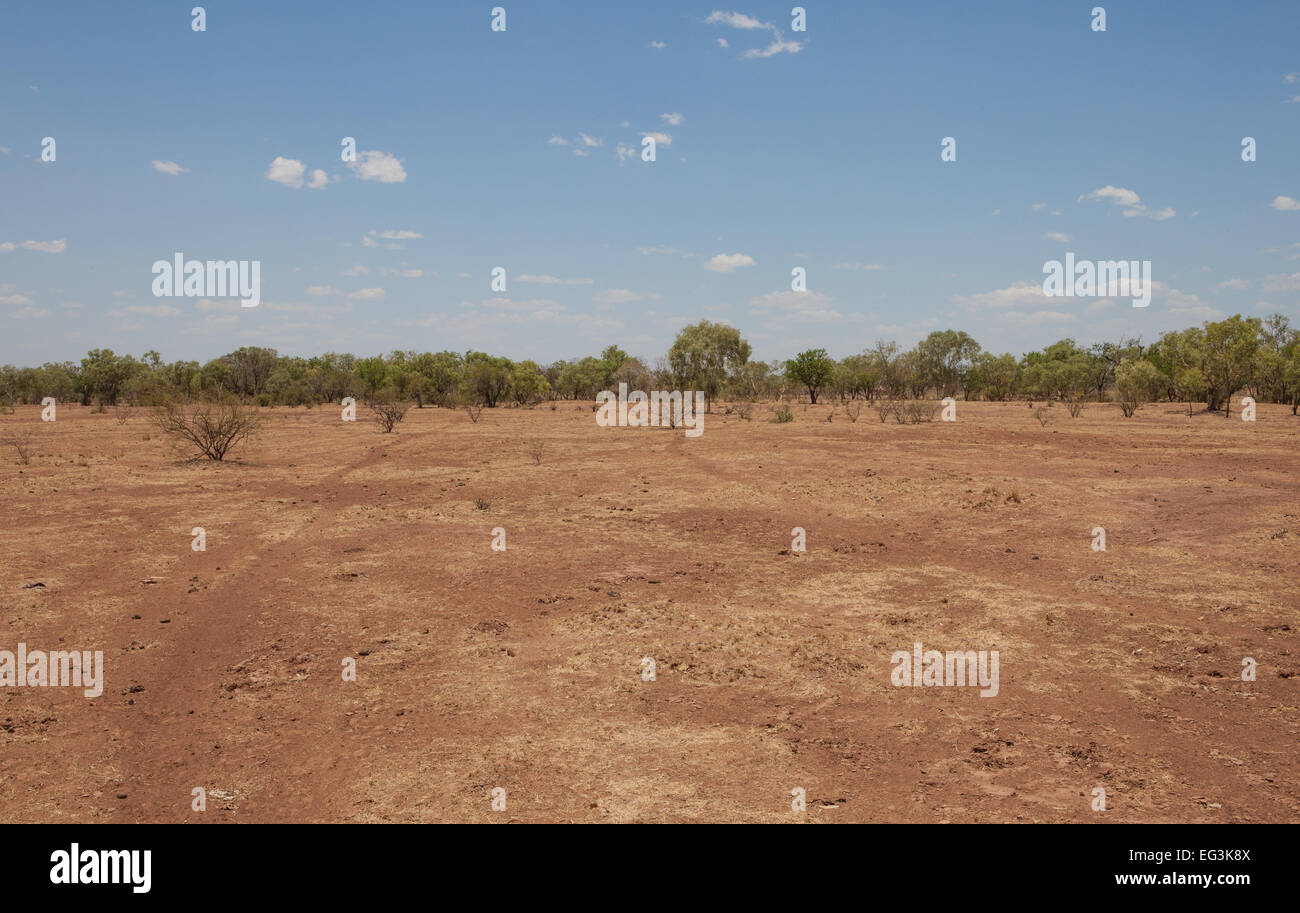 Sparse bush in the Northern Territory, Australia Stock Photo