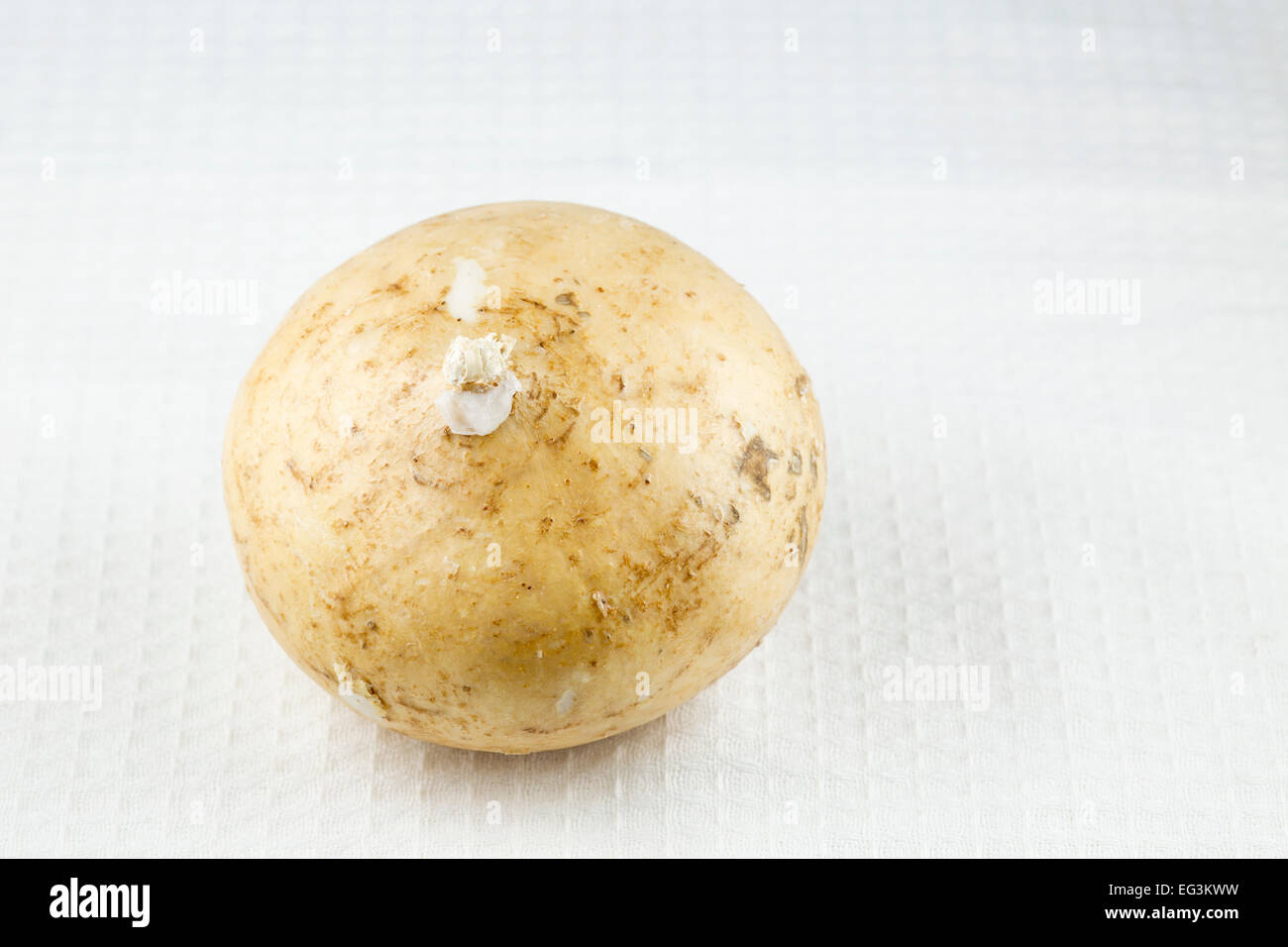 Jicama (Pachyrhizus erosus), aka Mexican yam, Mexican turnip, Mexican potato Stock Photo