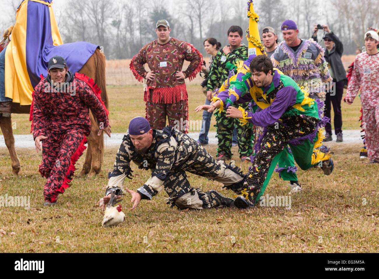 mardi gras chicken run 2025