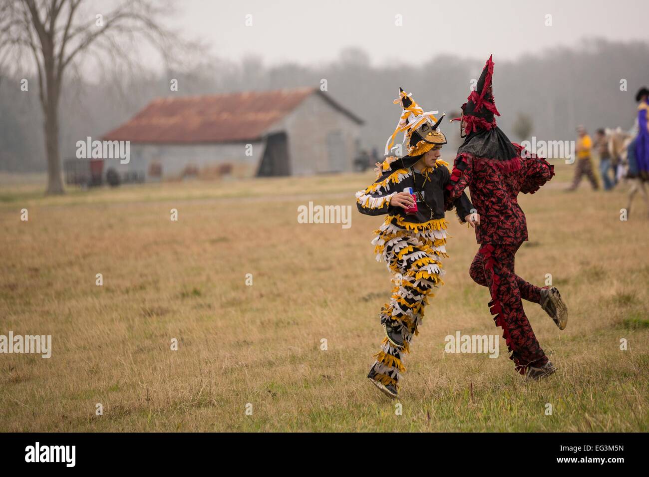 cajun mardi gras costumes history