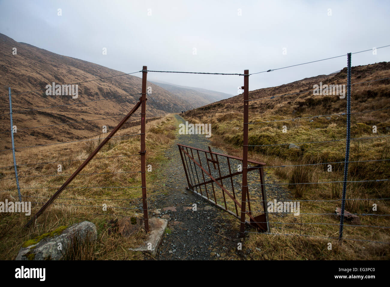 Deer fence at Glenveagh National Park, Donegal, Ireland Stock Photo Alamy