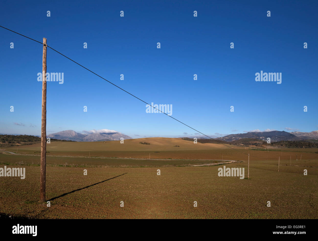 Electricity Lines across newly planted Farmland  Campo de Camera, Near Almogia, Malaga Province, Andalucia, Spain Stock Photo