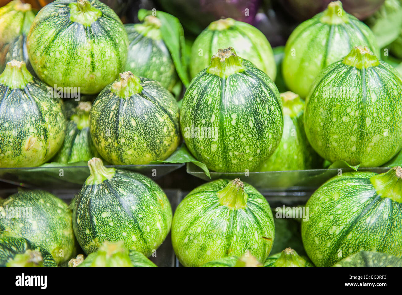 Row of round green courgettes on shelf in market, close up with out of of focus background Stock Photo