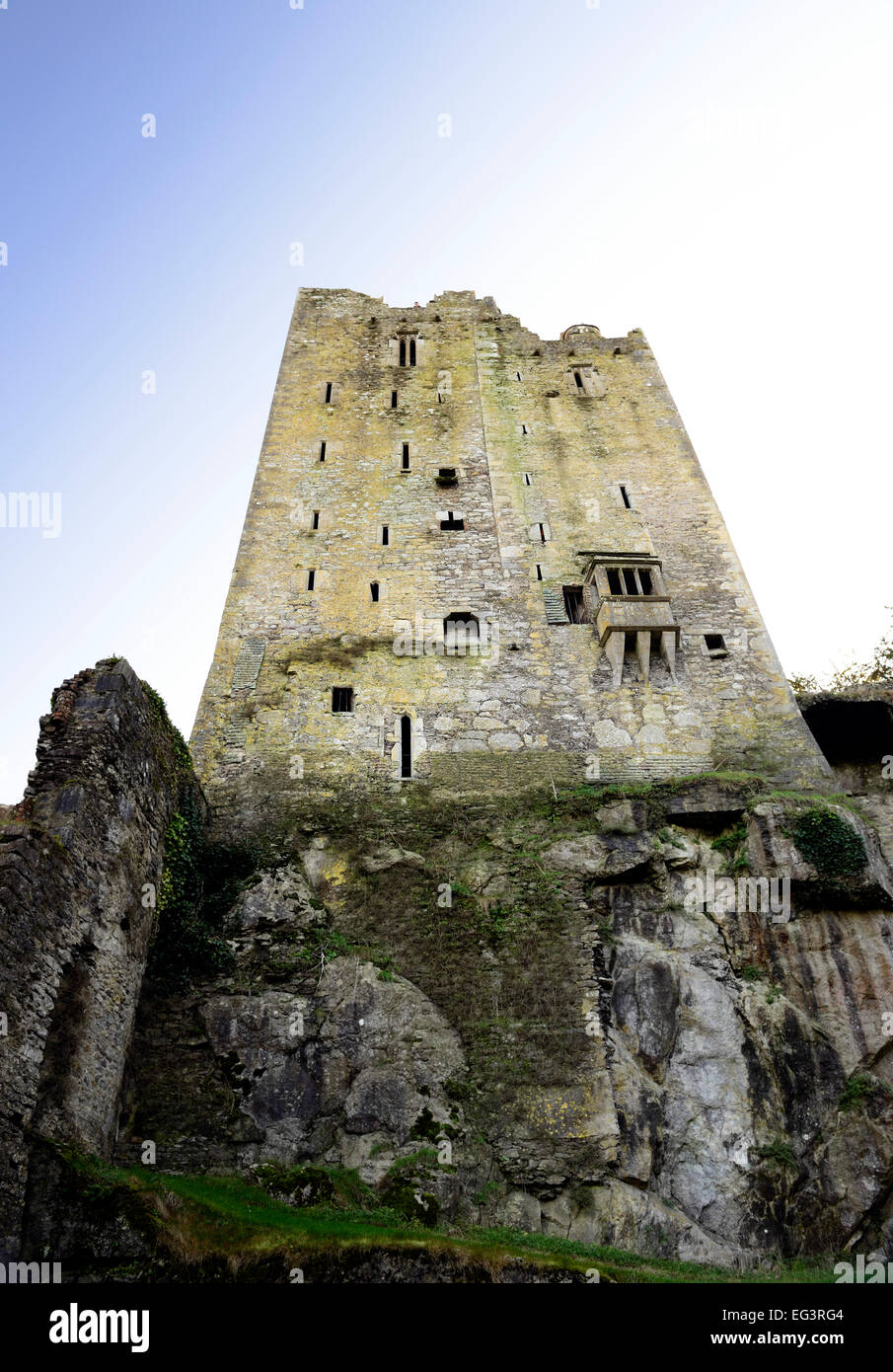 north wall blarney castle cork famous landmark gardens ireland irish king of munster medieval castles RM Ireland Stock Photo