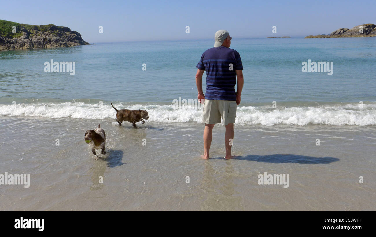 A tourist and his dogs on Kilvickeon Beach on the Ross of Mull Scotland Stock Photo