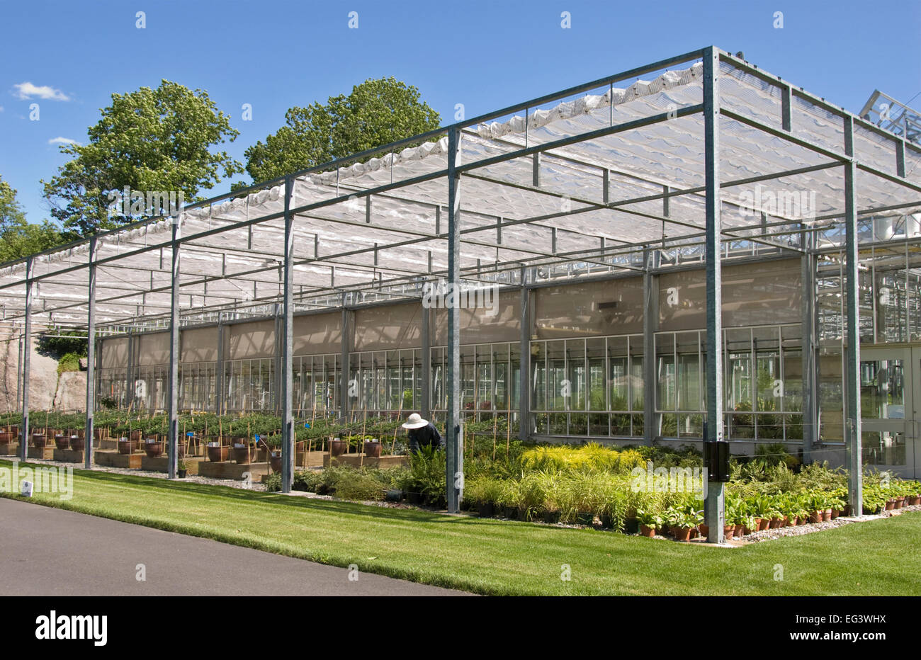 Botanical Garden Greenhouse New York High Resolution Stock Photography and Images Alamy