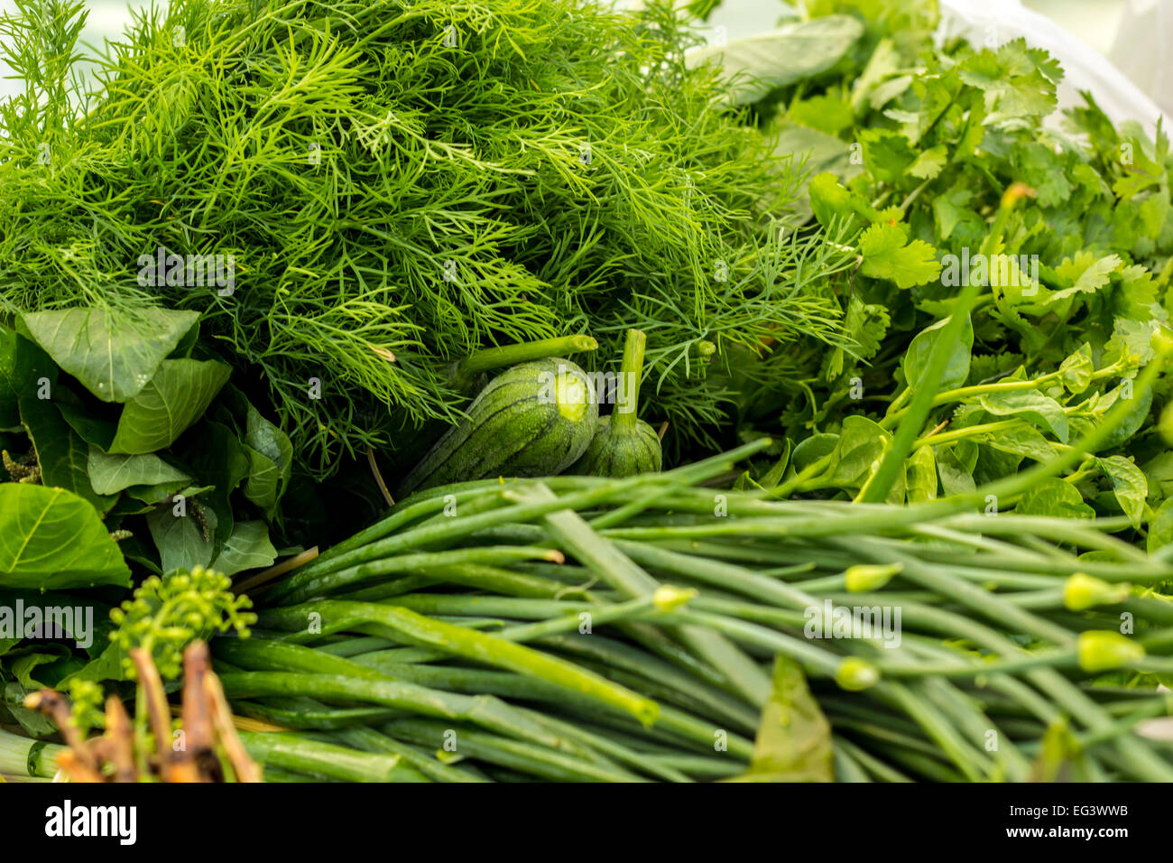 The Vegetables, chemicalfree, organic vegetables, green vegetables