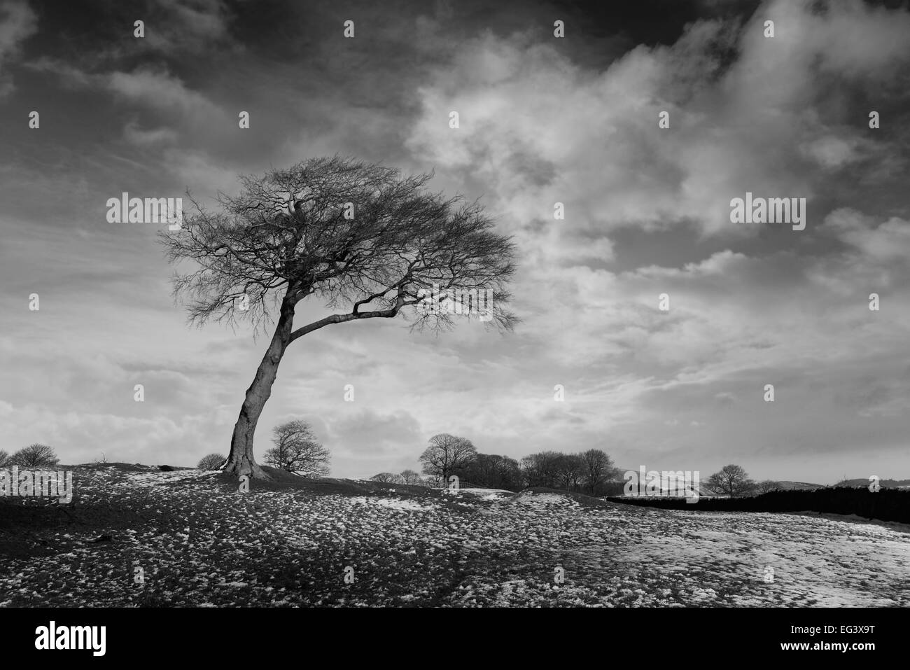 Open agricultural land Black and White Stock Photos & Images - Alamy