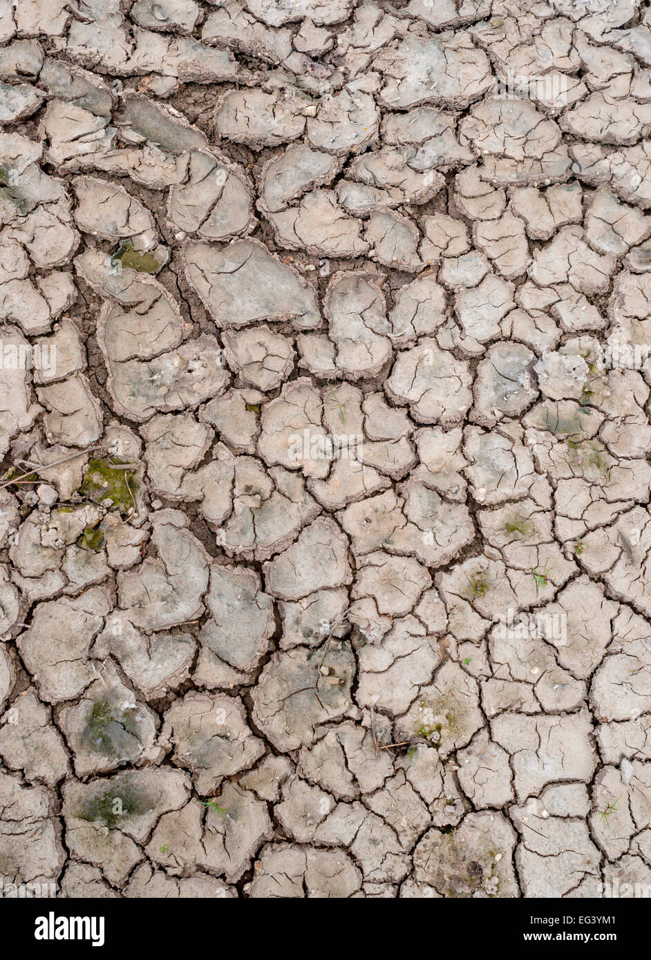 Dry, cracked soil surface - France. Stock Photo