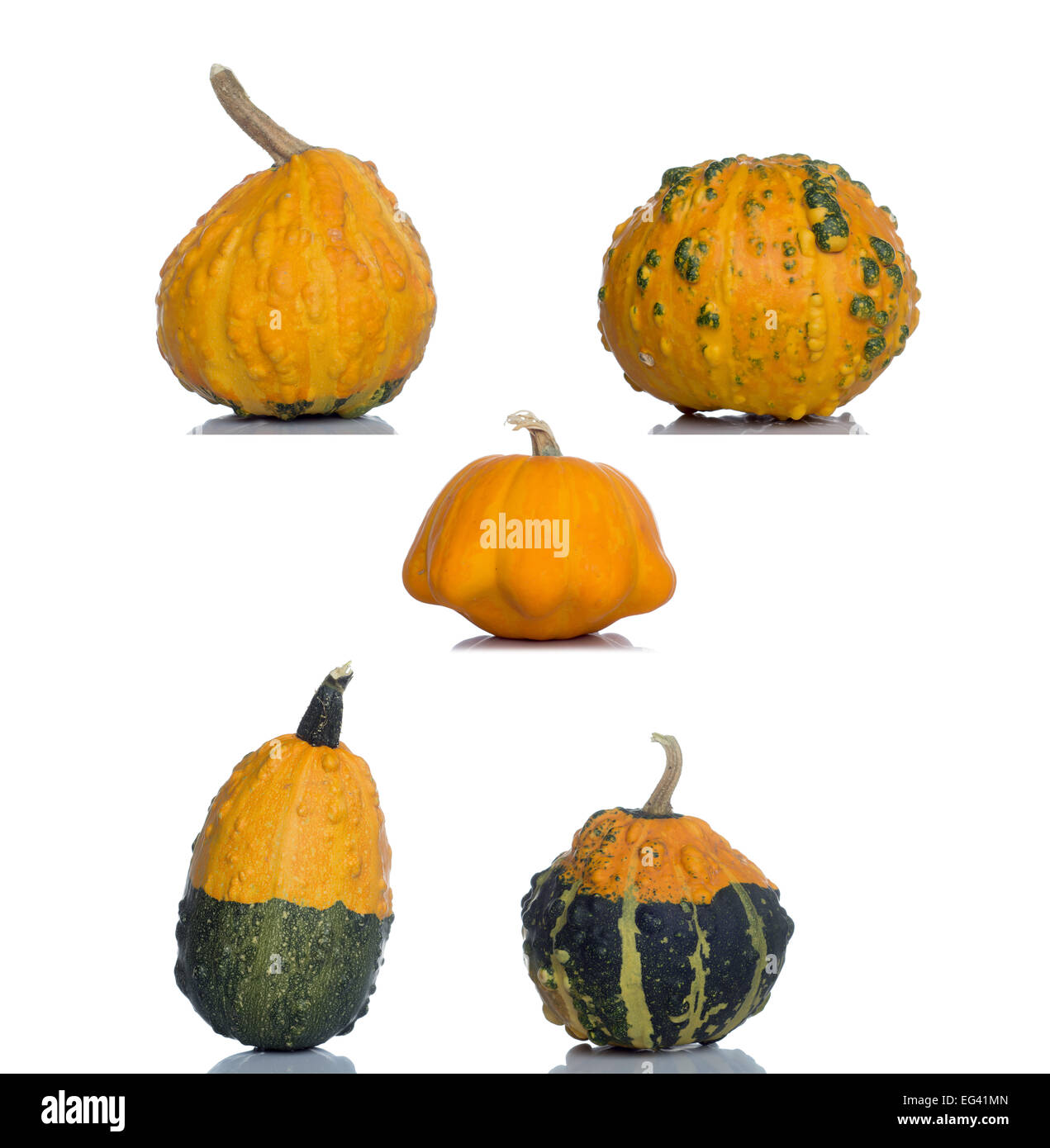 Orange pumpkin isolated over the white background Stock Photo - Alamy