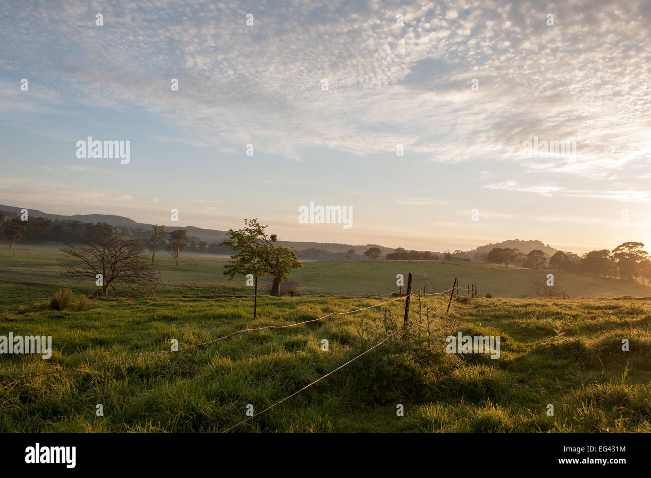 Rural land in NSW, Australia Stock Photo Alamy