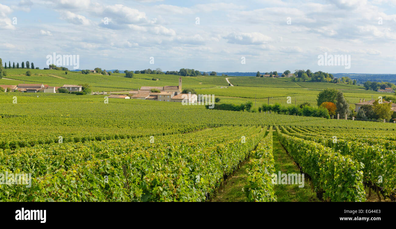 Vineyard and Mazerat, vineyard of Saint-Emilion listed as World Heritage by UNESCO, Gironde, France, Europe Stock Photo